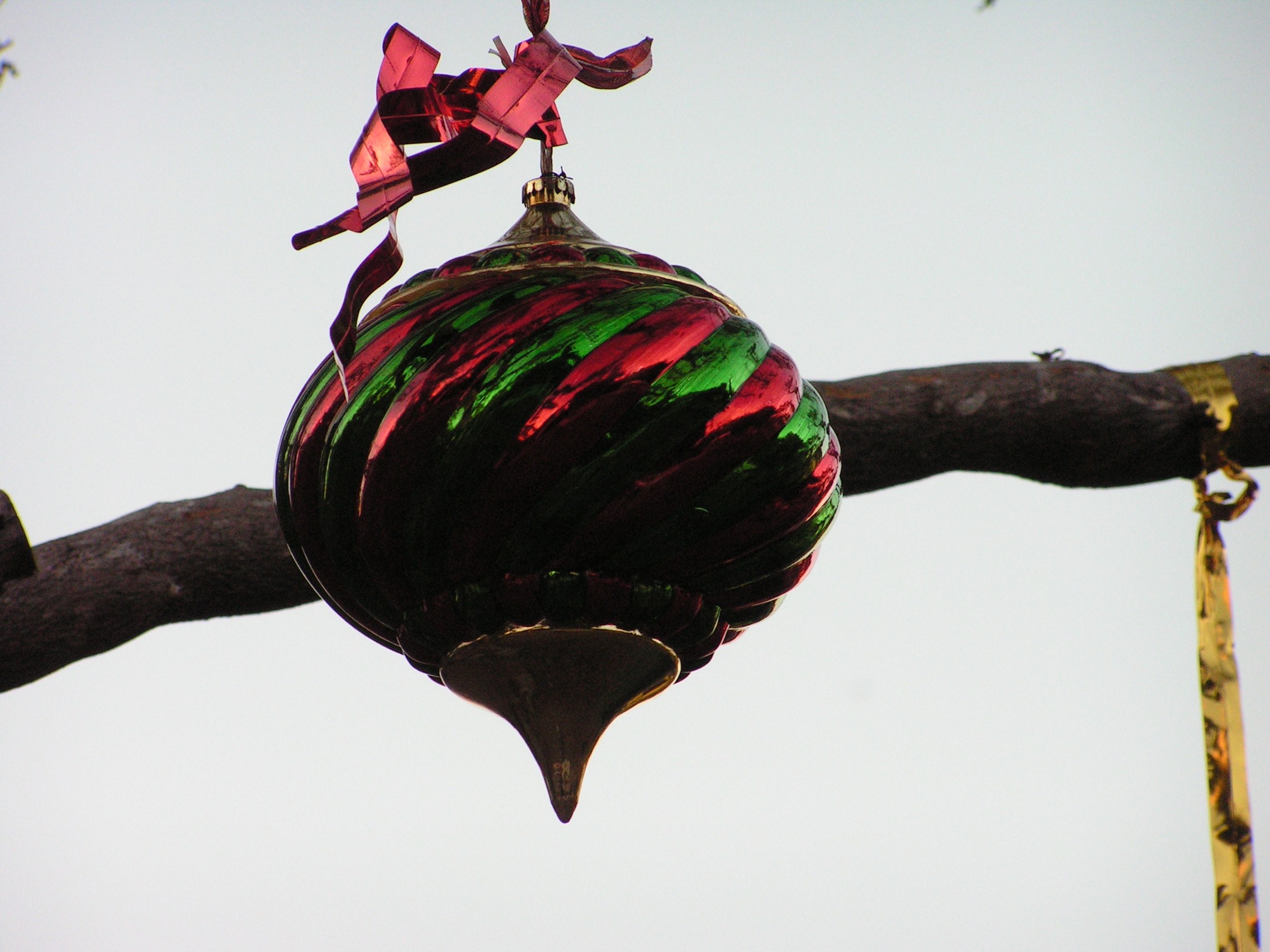 ./2006/Christmas/Parrot Jungle/PICT0067.JPG